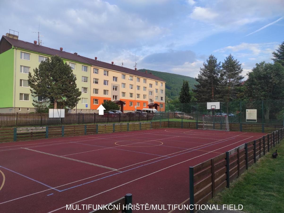 Ferienwohnung Dobre Misto Loučná nad Desnou Exterior foto