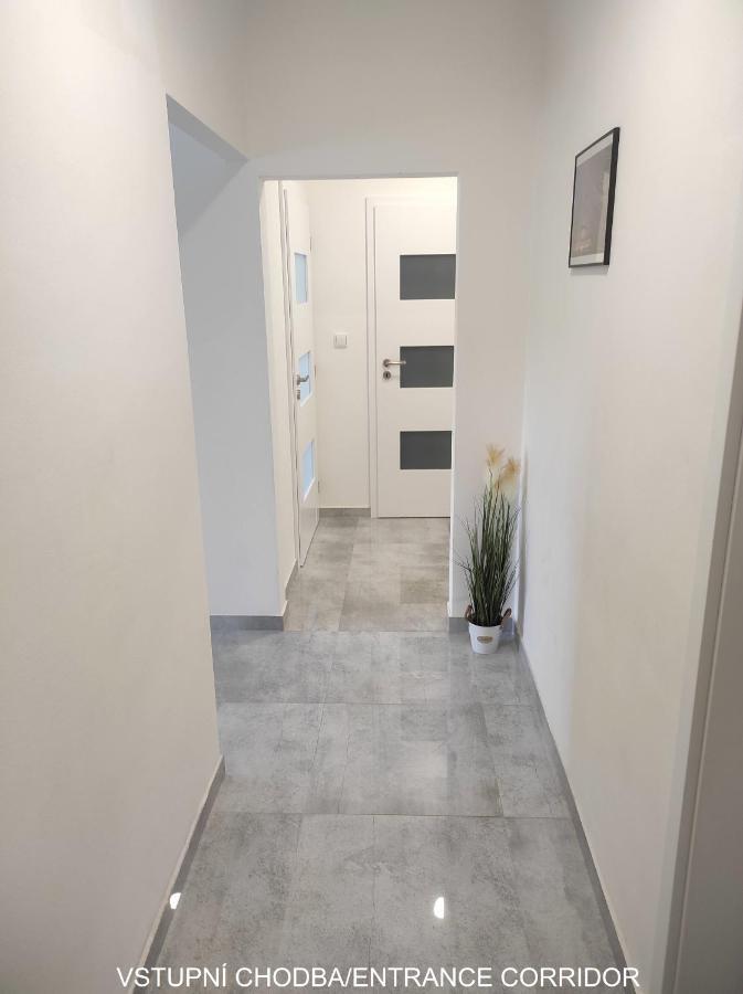 Ferienwohnung Dobre Misto Loučná nad Desnou Exterior foto